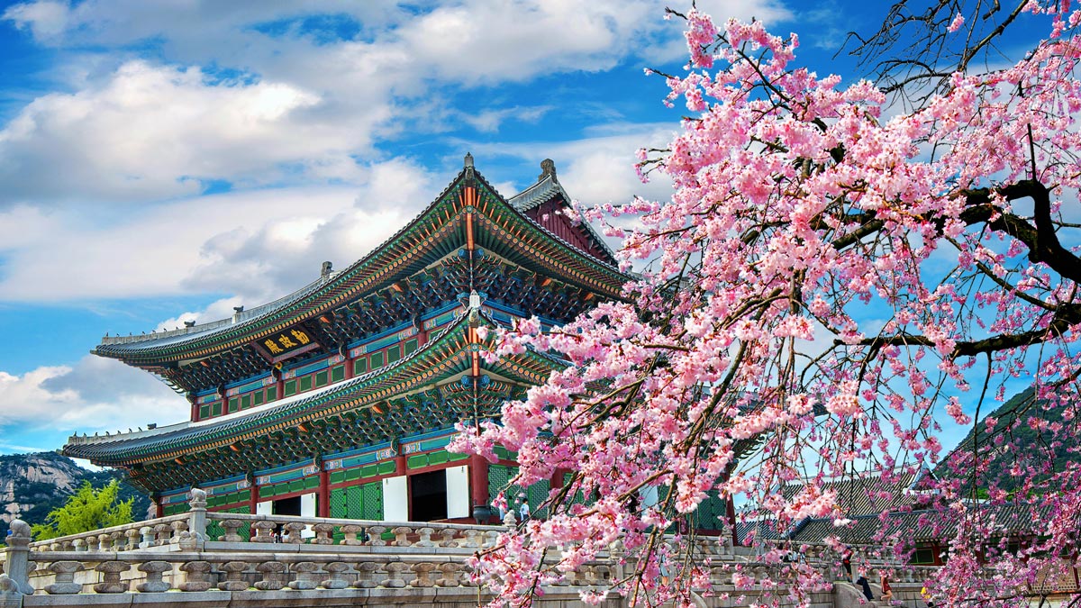 korea souel jinju temple forum